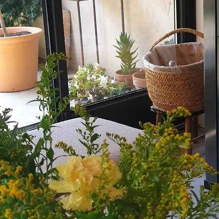 Mas Ferran Adults Only Bed & Breakfast