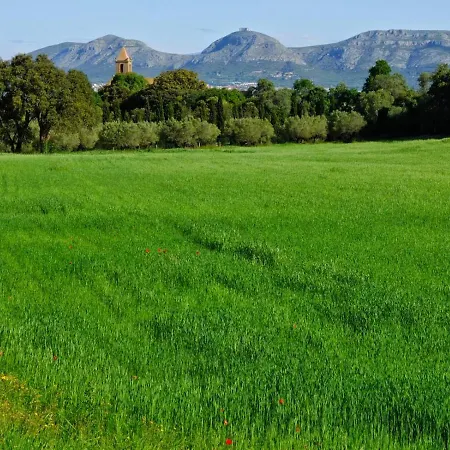 Mas Ferran Adults Only Couette-café Pals